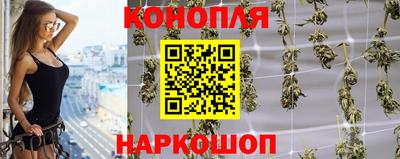 твердый Бийск