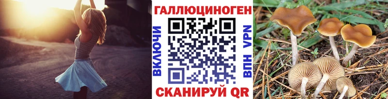 купить наркоту  OMG онион  Псилоцибиновые грибы ЛСД  Братск 