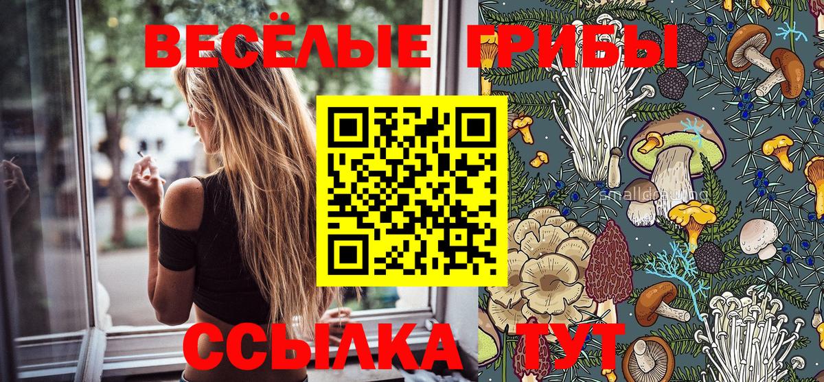 Братск  Галлюциногенные грибы Cubensis  Вход с VPN  Галлюциногенные грибы Cubensis 